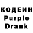 Кодеиновый сироп Lean Purple Drank dolphin LIKE